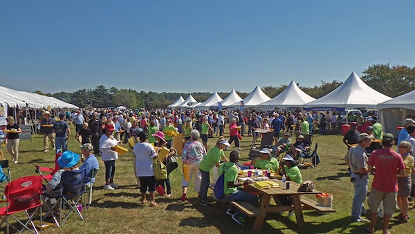 21st Annual Harvest Festival Hits All The Right Spots Cape Charles Wave