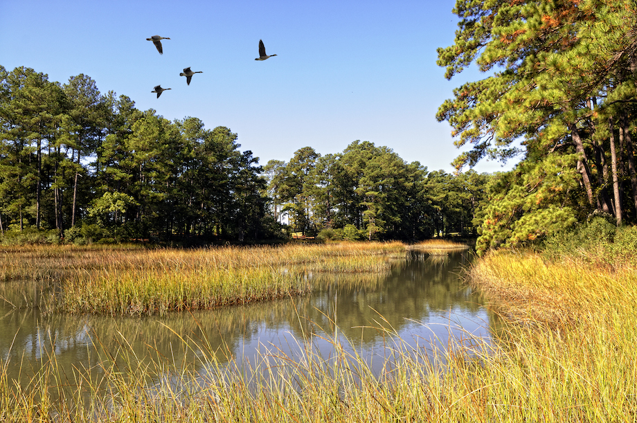 Plantation Creek Inlet