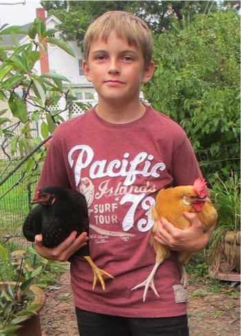 Two hens for every boy. (Photo: Stefanie Hadden)