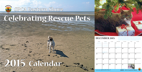 SPCA 2015 Calendar Photo