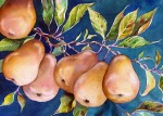 Thelma Peterson Wilsonia Pears watercolor