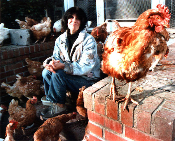 Karen Davis with some of her brood at United Poultry Concerns on Seaside Road. (Photo: Washington Post)