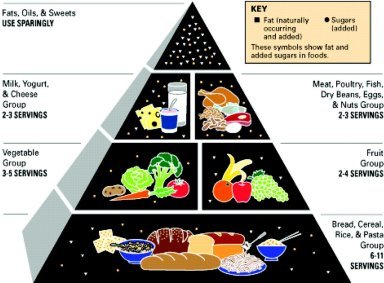 1 - 1992foodpyramid