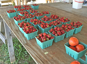 Strawberries