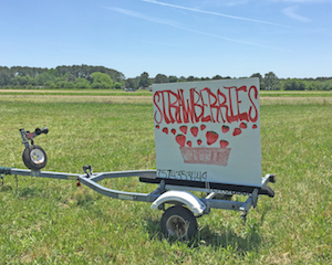 Strawberry Sign